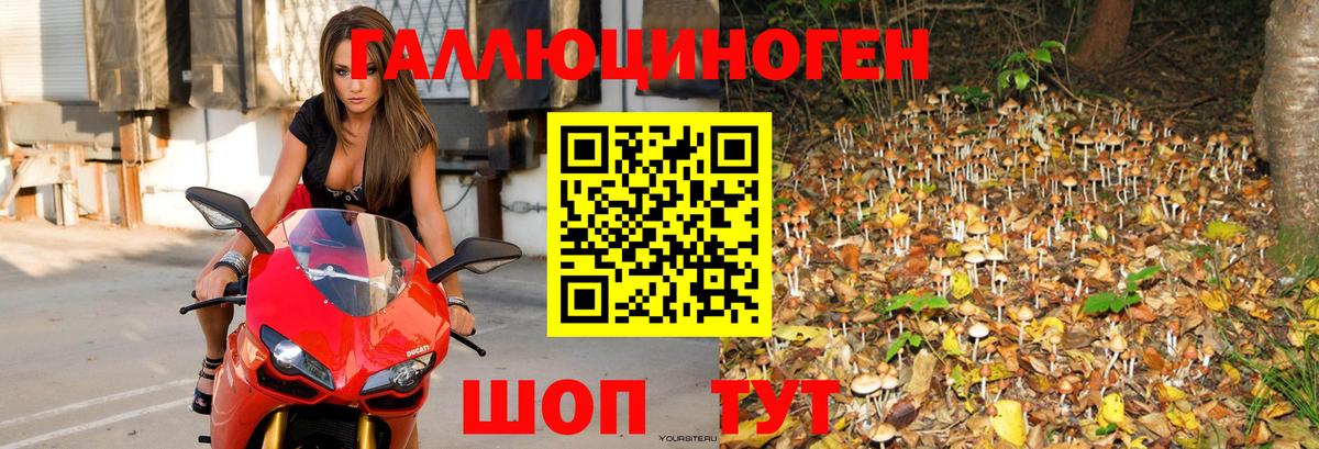 Галлюциногенные грибы мицелий  Вход с VPN  Беслан 